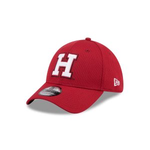 Harvard Crimson Performance 39THIRTY Stretch Fit Hat