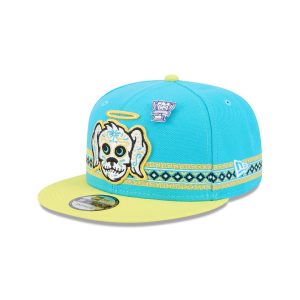 Charleston RiverDogs Copa de la Diversi??n 9FIFTY Snapback Hat