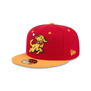 Hudson Valley Renegades Theme Night 59FIFTY Fitted Hat