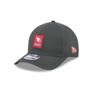 Arizona Cardinals 2025 Sideline Cold Weather Steel Clouds 9FORTY M-Cro