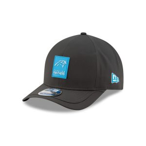 Carolina Panthers 2025 Sideline Cold Weather Steel Clouds 9FORTY M-Cro