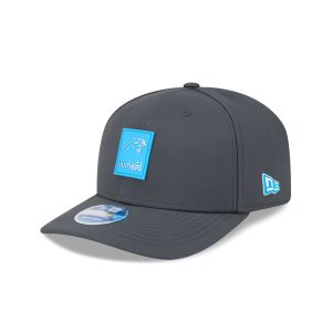 Carolina Panthers 2025 Sideline Cold Weather Steel Clouds 9SEVENTY Str