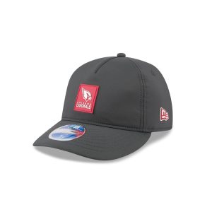 Arizona Cardinals 2025 Sideline Cold Weather Steel Clouds Retro Crown
