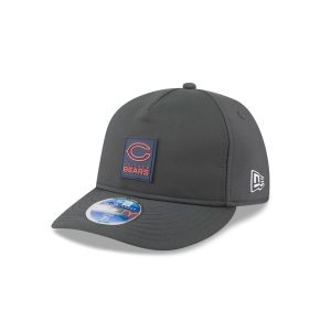 Chicago Bears 2025 Sideline Cold Weather Steel Clouds Retro Crown 59FI