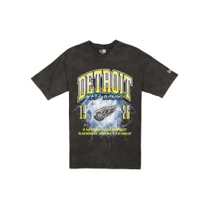 Detroit Red Wings Lifestyle Graphics Storm Black T-Shirt