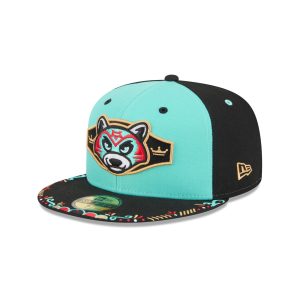 Hudson Valley Renegades 2026 Copa de la Diversi??n 59FIFTY Fitted Hat