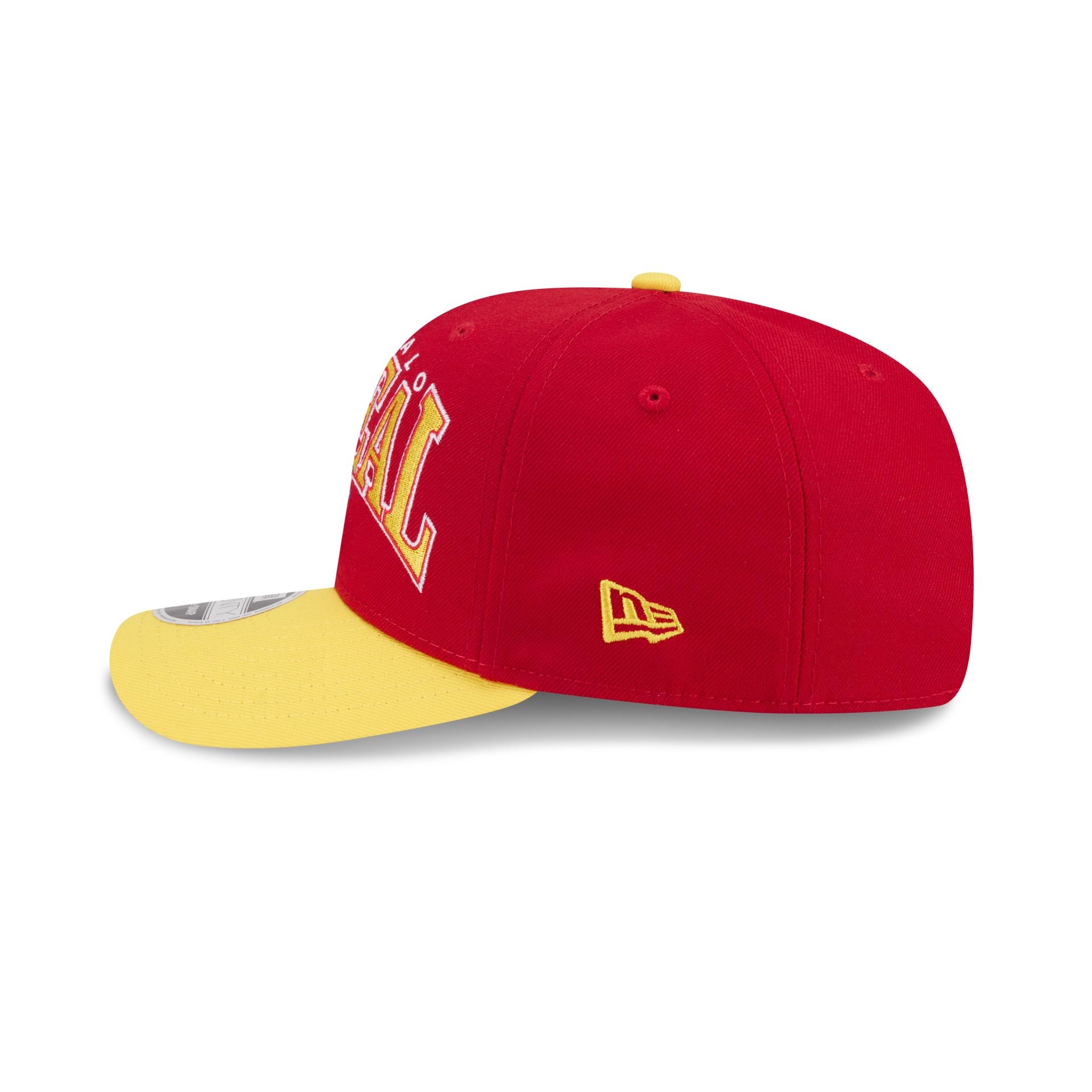 Buffalo Bisons Theme Night Wordmark 9SEVENTY Stretch-Snap Hat - Image 4