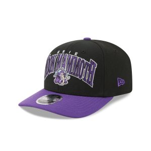 Erie SeaWolves Theme Night Black 9SEVENTY Stretch-Snap Hat
