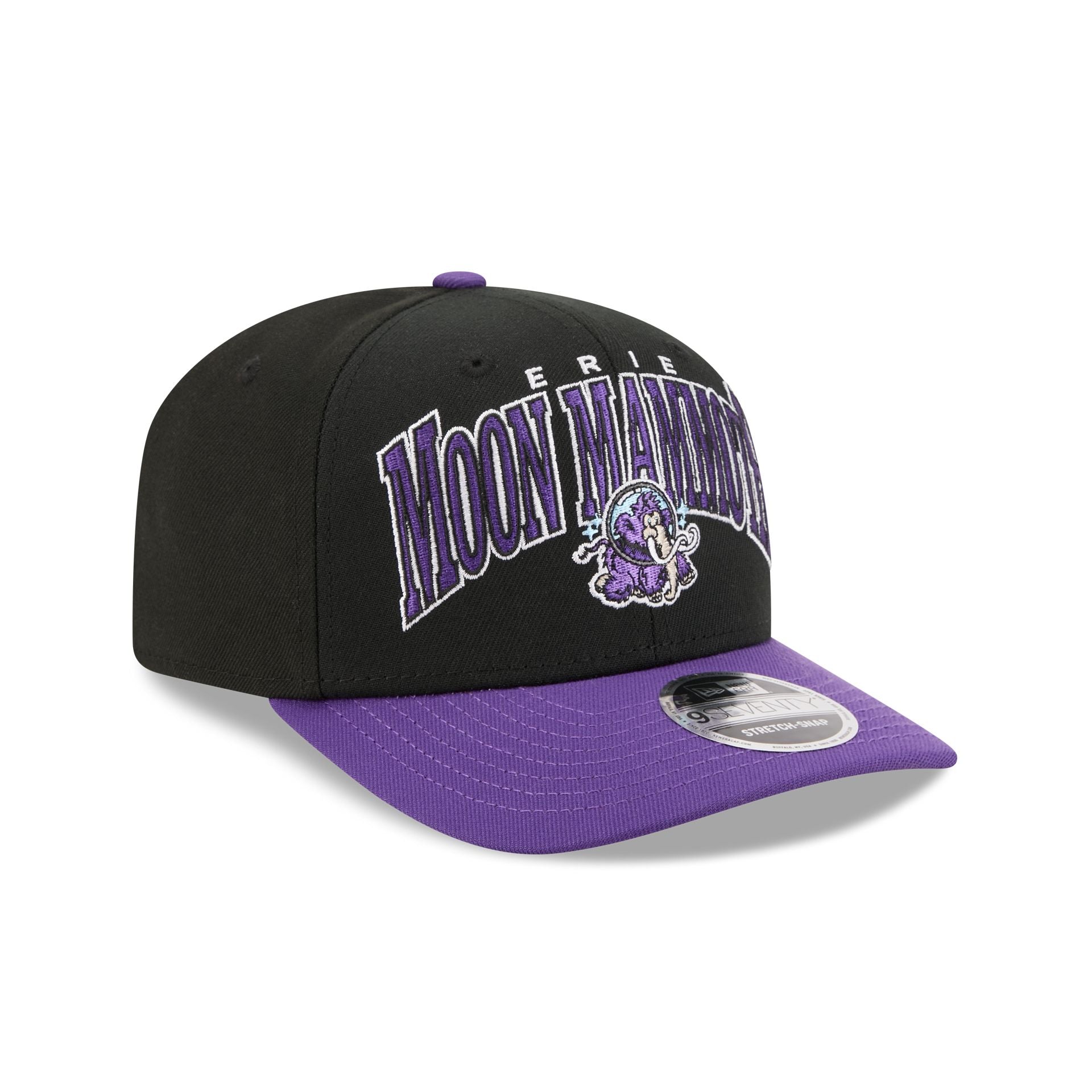 Erie SeaWolves Theme Night Black 9SEVENTY Stretch-Snap Hat - Image 3
