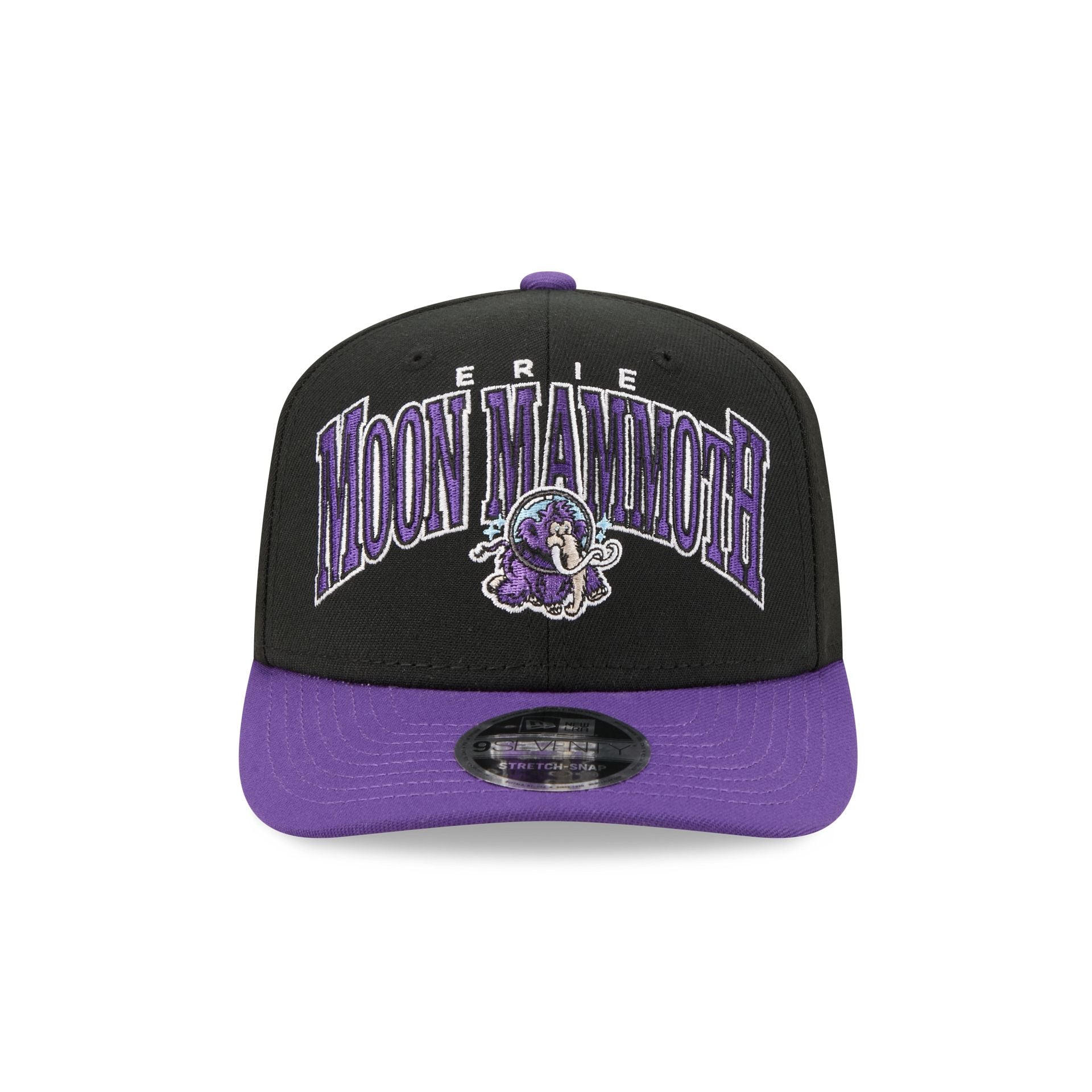 Erie SeaWolves Theme Night Black 9SEVENTY Stretch-Snap Hat - Image 2