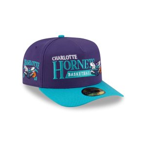 Charlotte Hornets 1988-2002 Hardwood Classics Liner 59FIFTY A-Frame Fi